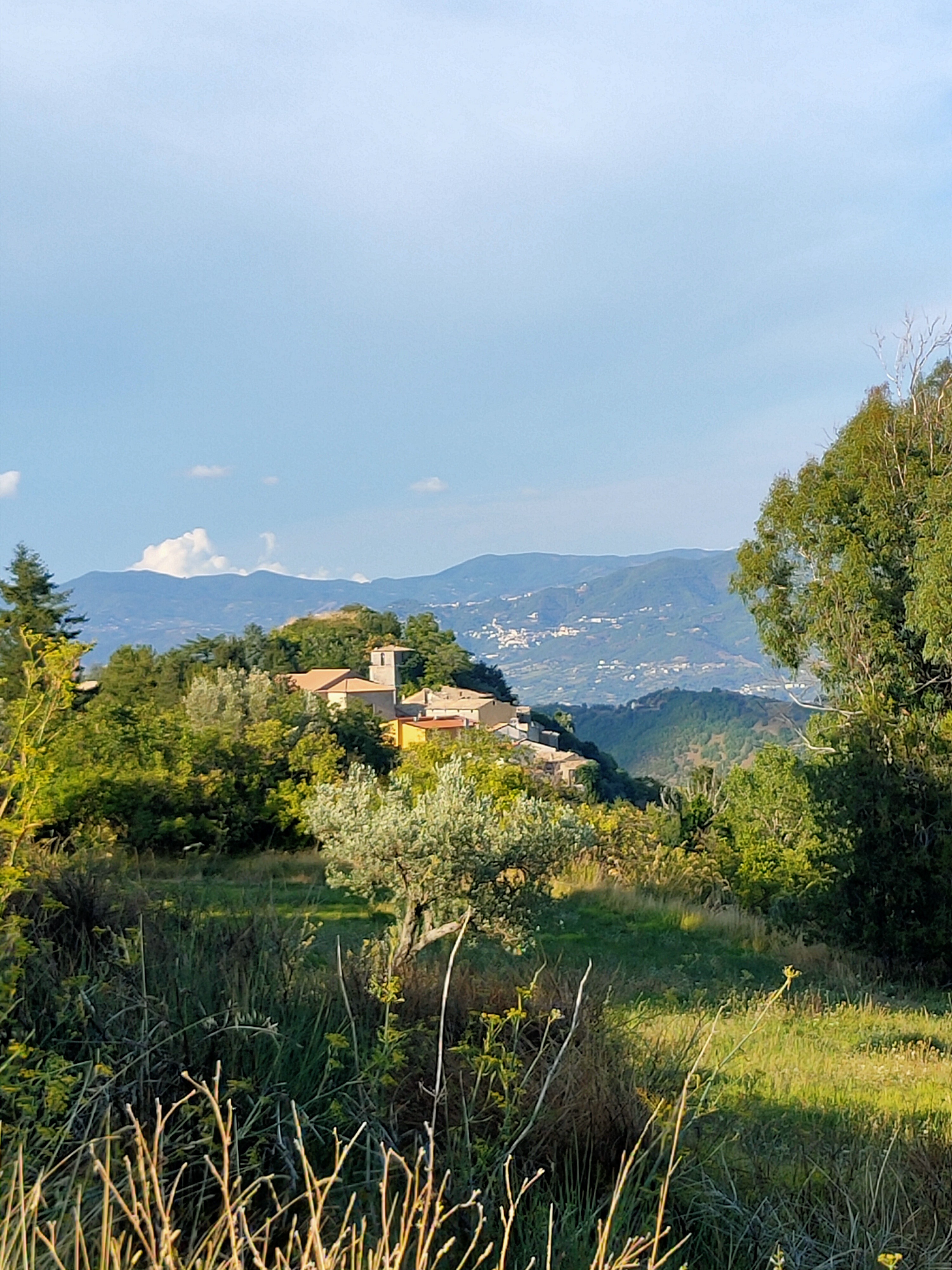 centro storico, collinare, agricolo, lineare, Carolei, Karalea (denominazione storica), Issia (denominazione storica, Enotri), Ixia (denominazione storica, Enotri) (V a.C)