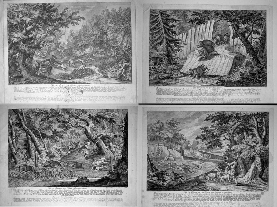 Scene di caccia (stampa, serie) di Ridinger Johann Elias, Ridinger Johann Elias, Ridinger Johann Elias (sec. XVIII)
