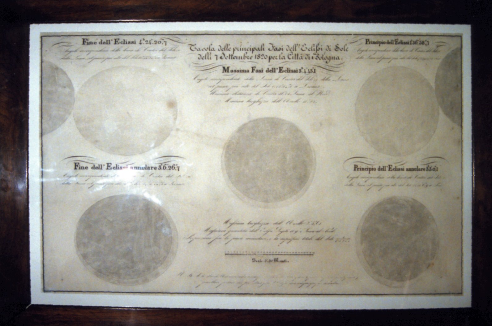 disegno di Anonimo - ambito bolognese (prima metà XIX)