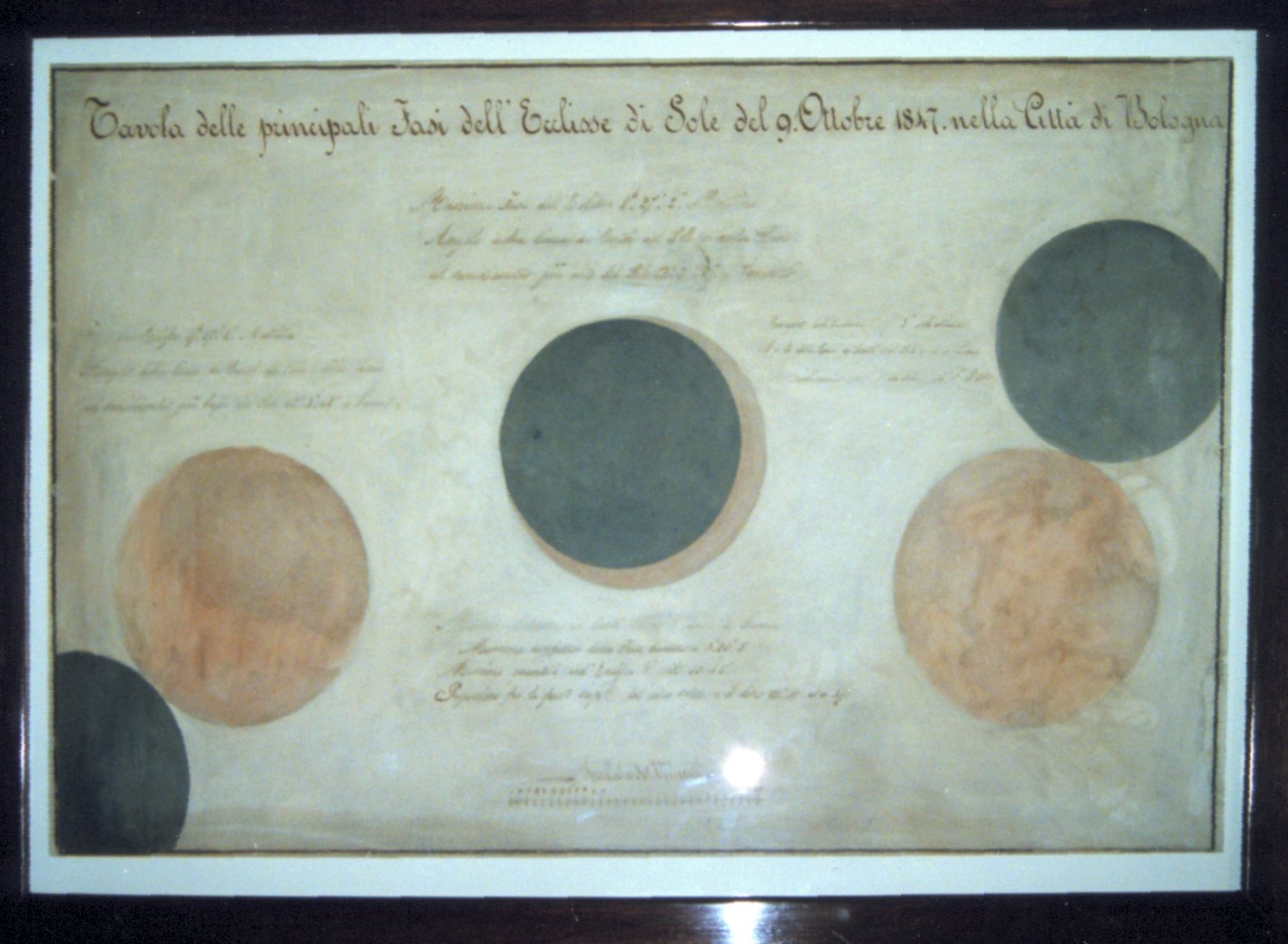 disegno di Anonimo - ambito bolognese (prima metà XIX)
