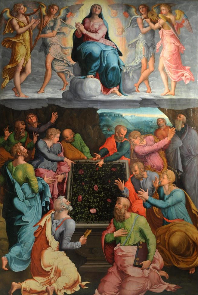 Vergine Assunta in cielo e Apostoli (dipinto, opera isolata) di Raffaellino del Colle (attribuito) (prima metà XVI)