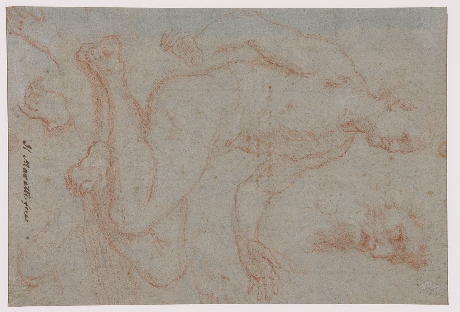 studio di figure (disegno, opera isolata) di Maratta, Carlo (bottega) (ultimo quarto XVII)