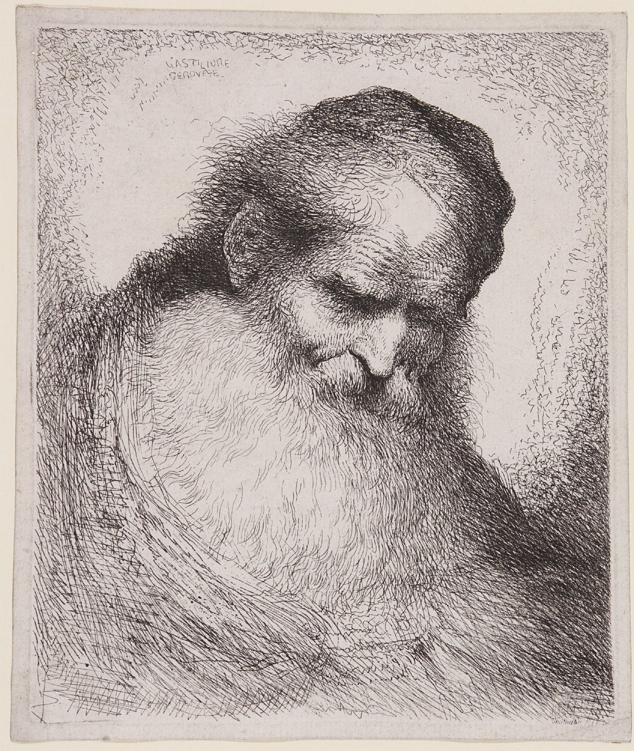 testa di vecchio con barba e capo reclinato (stampa, elemento d'insieme) di Castiglione, Giovanni Benedetto (detto il Grechetto) (XVII)