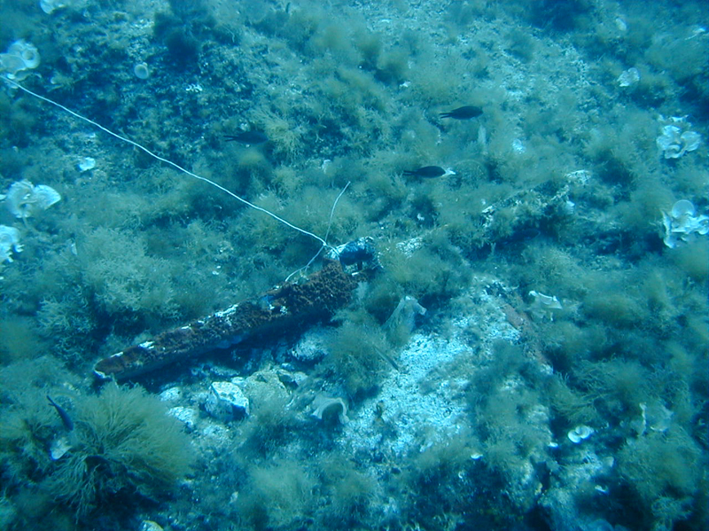 Capo Grosso S0016 (giacimento subacqueo, ceppi d'ancora, luogo di ancoraggio) - Favignana (TP)  (SECOLI/ III a.C)