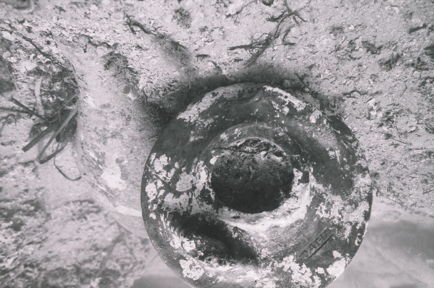 anfora, Dressel 1B, Papia - periodo romano (metà SECOLI/ I a.C)