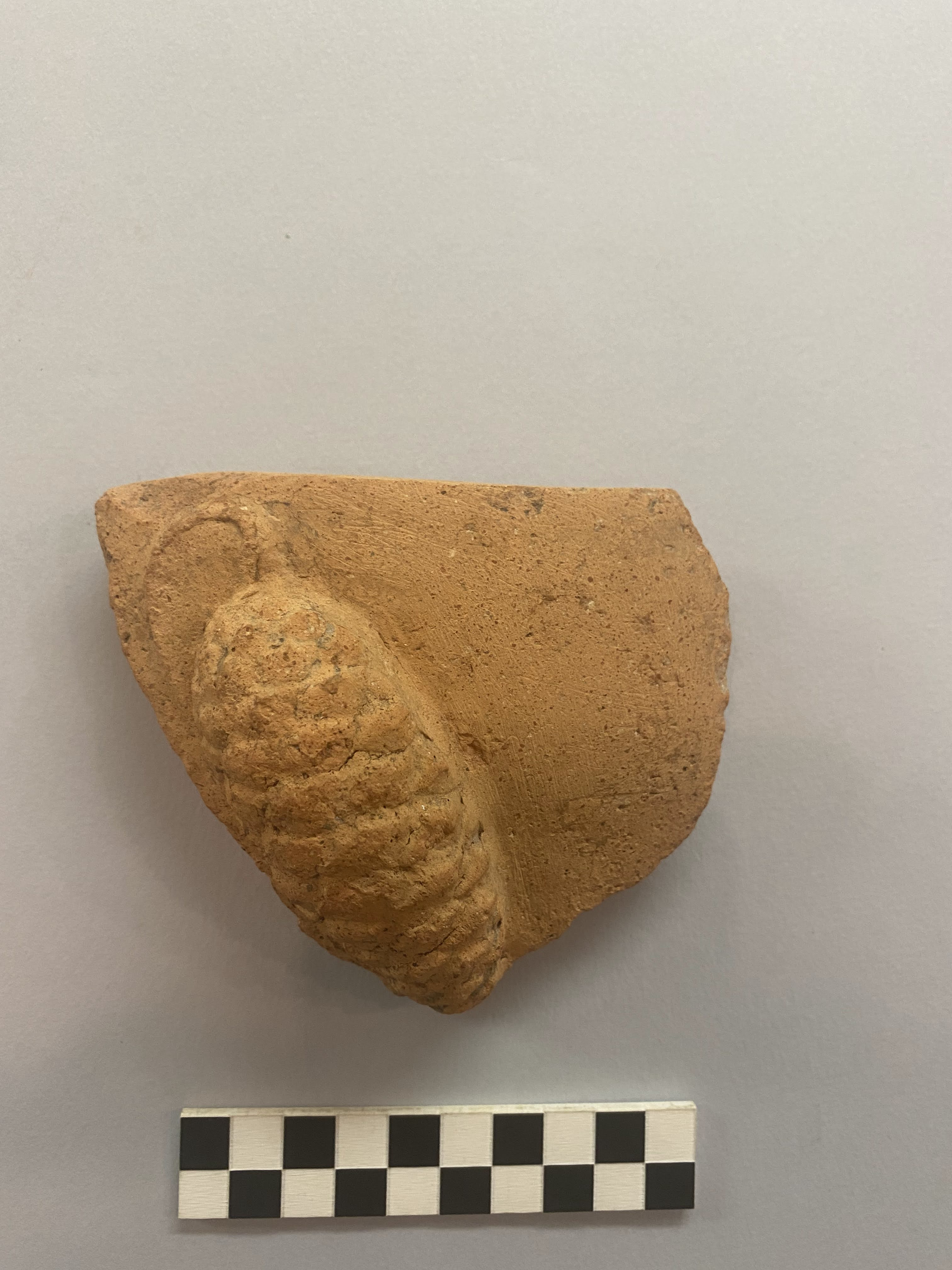 catino, Catino figlinese con bordo superiormente appiattito e a testa quadrata (SECOLI/ ARCHI DI SECOLI/ XIV-XV)