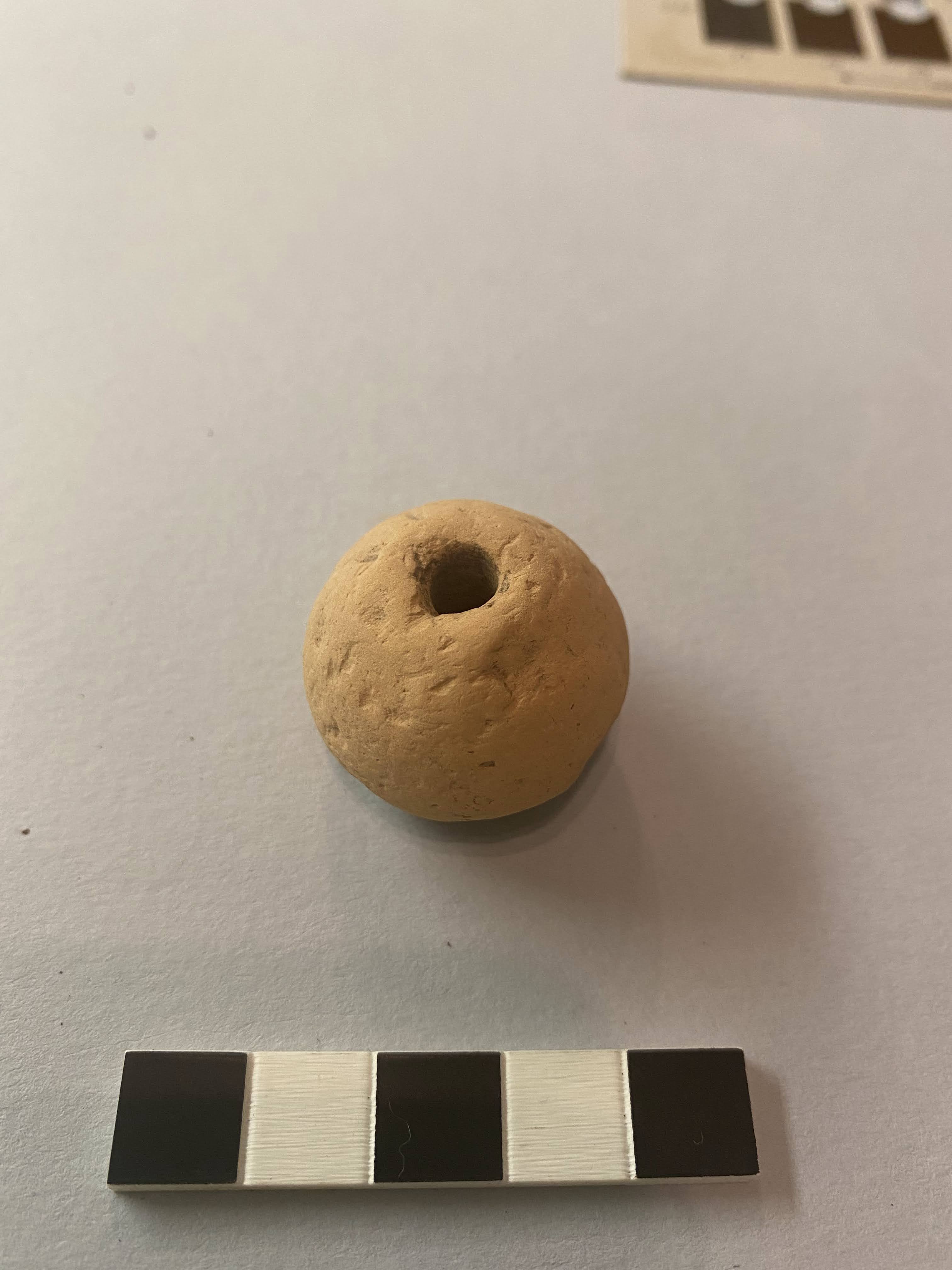 fuseruola/ a superficie liscia (PERIODIZZAZIONI/ STORIA/ Età medievale/ Basso Medioevo)