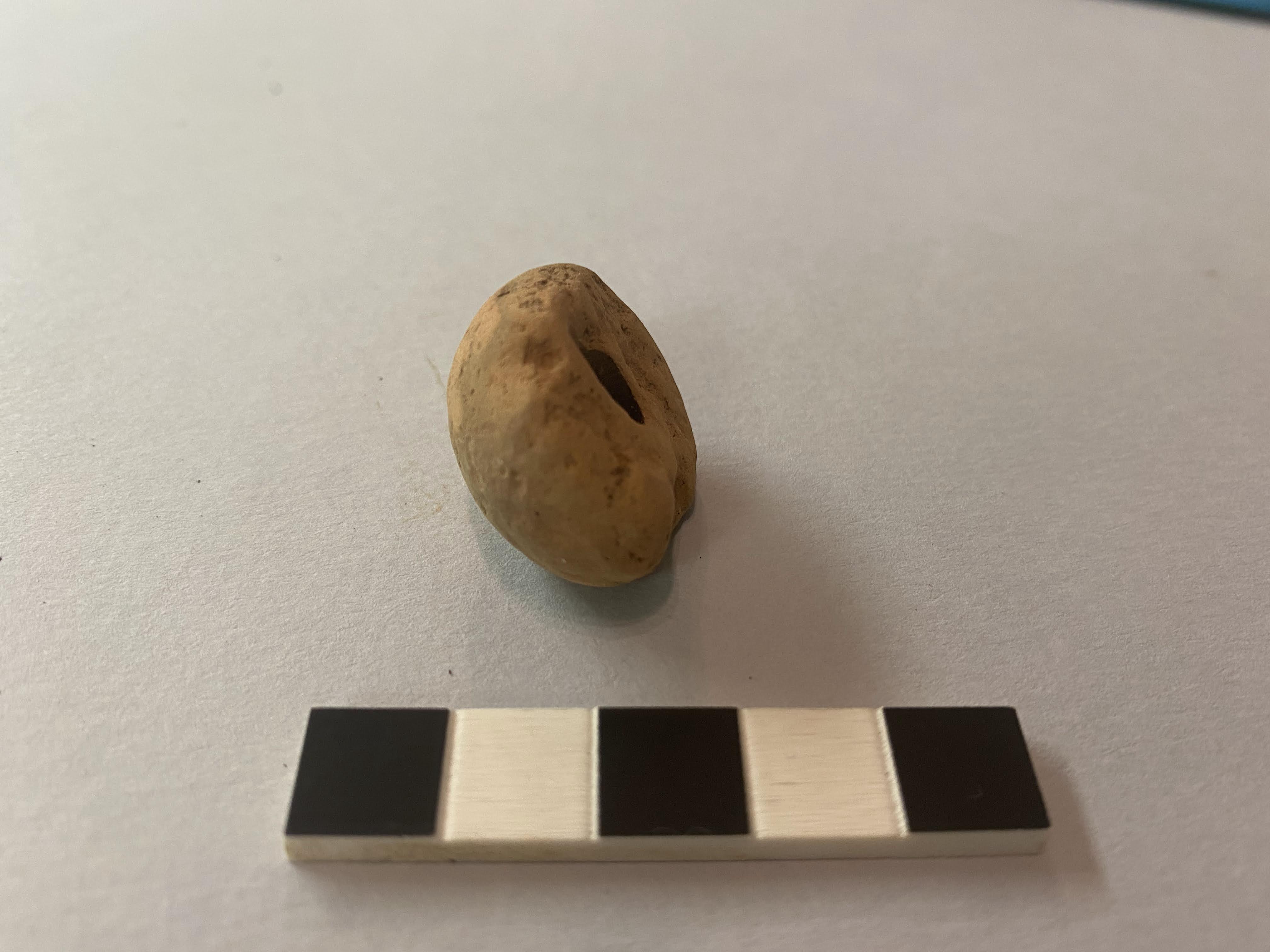 fuseruola/ a superficie liscia (PERIODIZZAZIONI/ STORIA/ Età medievale/ Basso Medioevo)