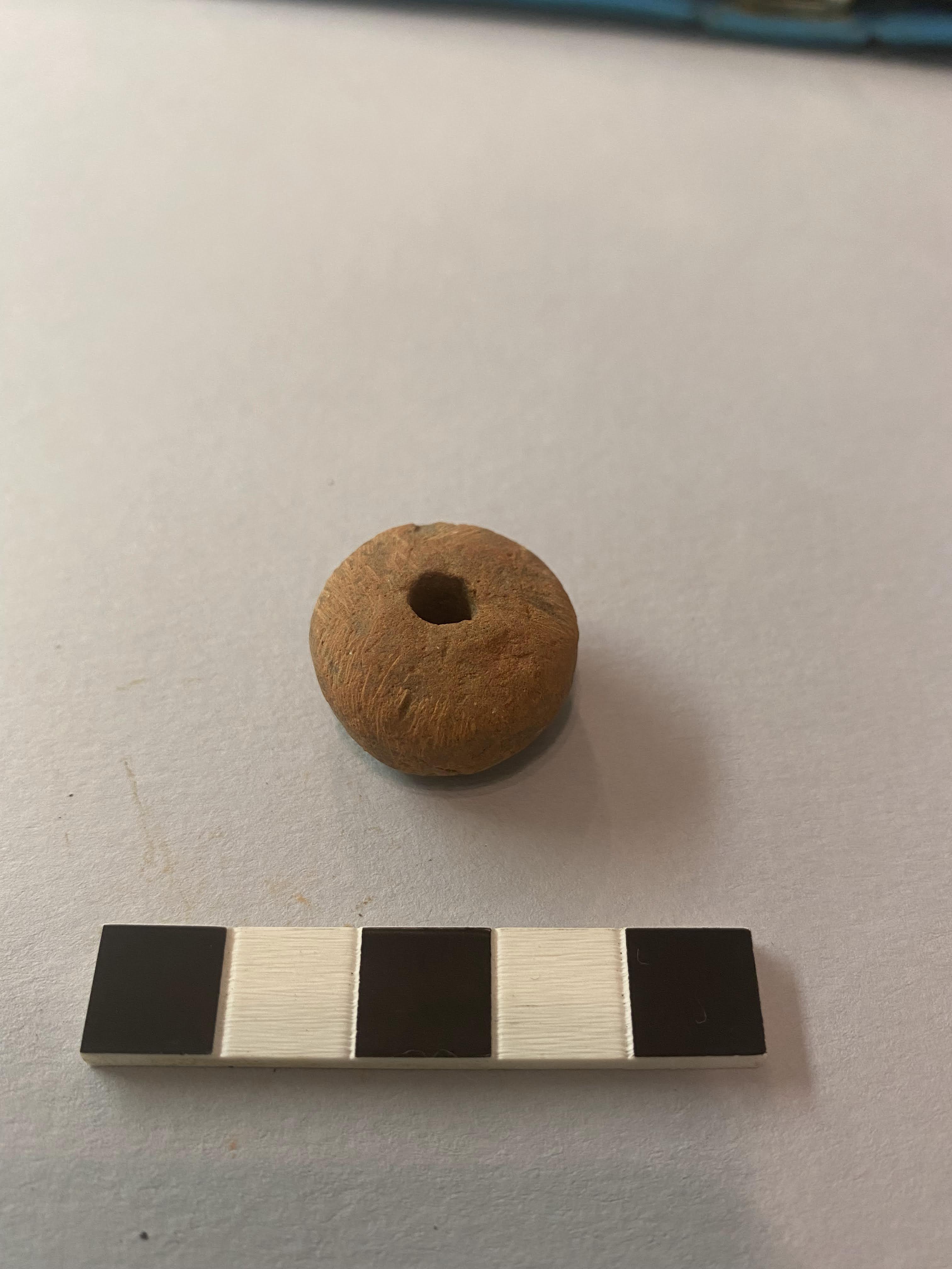 fuseruola/ a superficie liscia (PERIODIZZAZIONI/ STORIA/ Età medievale/ Basso Medioevo)