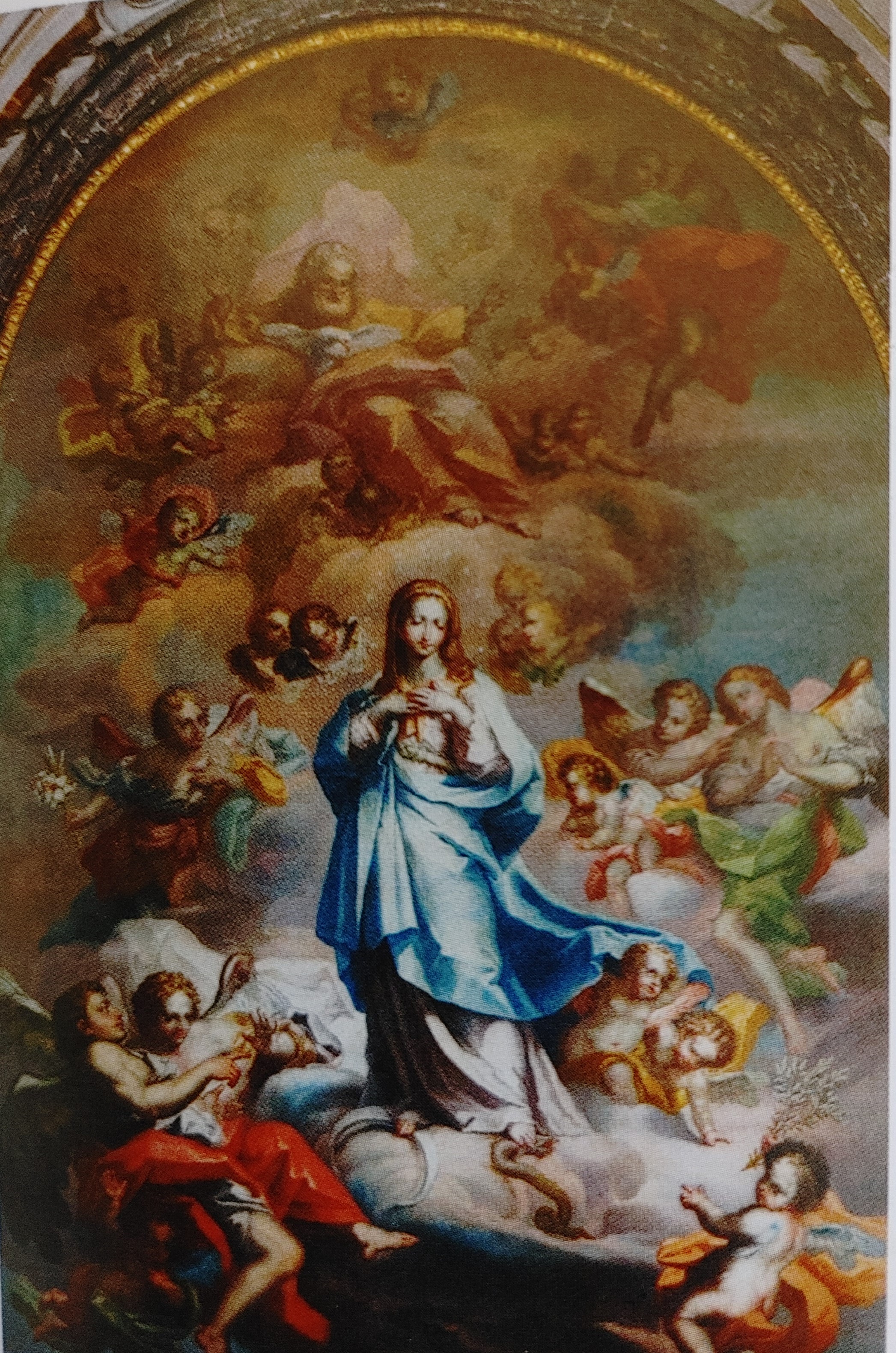 tela dell'Immacolata, Beata Vergine Maria (pala d'altare, opera isolata) di Sebastiano Lo Monaco (attribuito) (ultimo quarto XVIII)