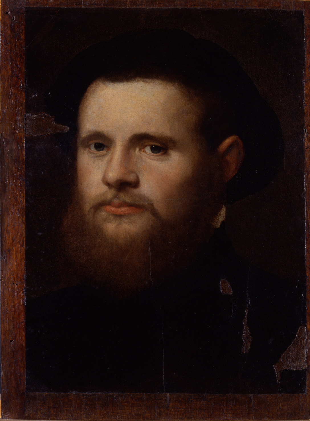 Ritratto di uomo (dipinto, opera isolata) di Bordon, Paris (metà XVI)