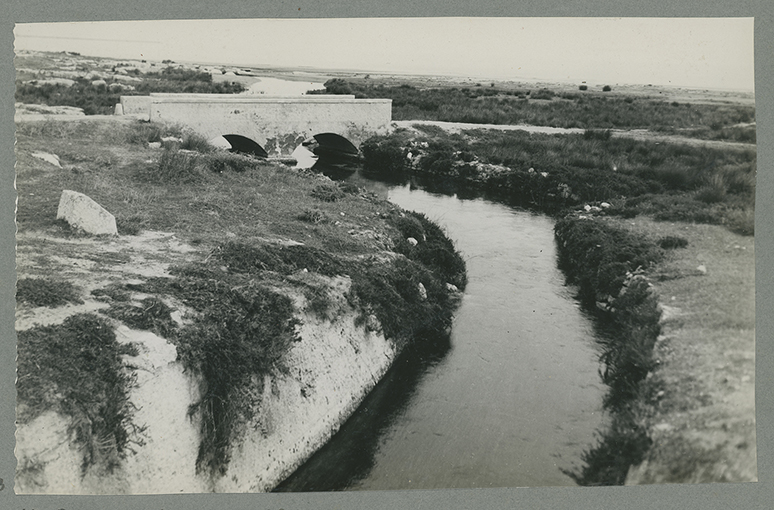 Manfredonia, canali della piana sipontina (positivo) di Anonimo (XX)