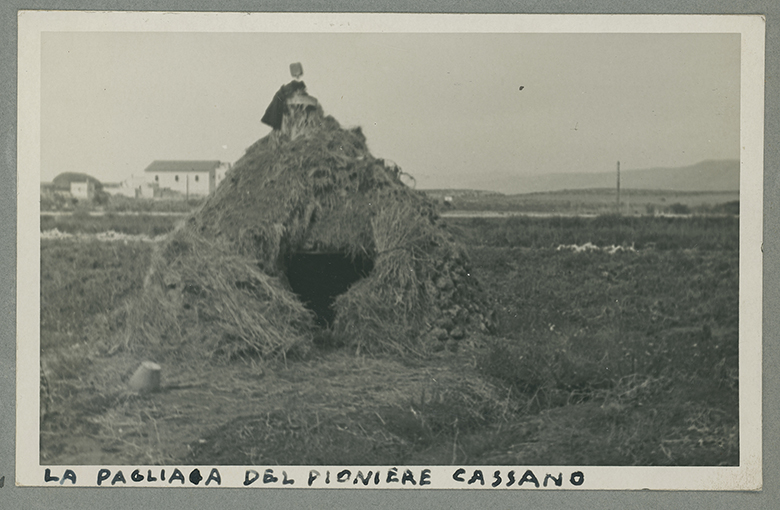 Manfredonia - piana sipontina - pagliara (positivo) di Anonimo (XX)