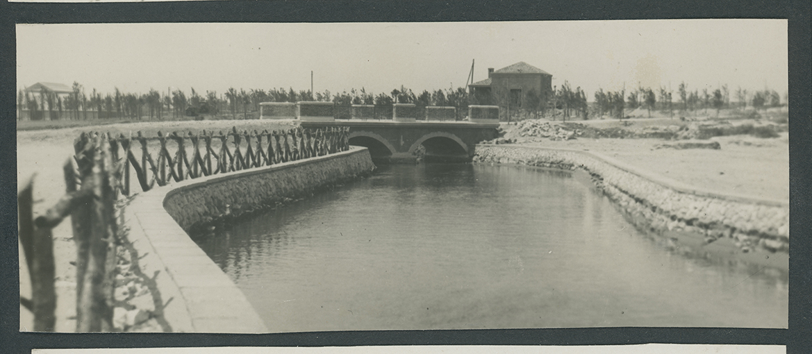 Manfredonia - piana sipontina - canale (positivo) di Anonimo (XX)