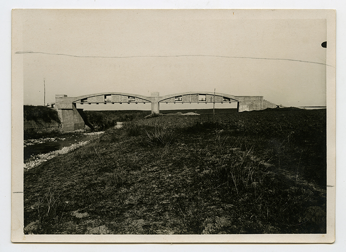 Provincia di Foggia - panorama (positivo) di anonimo (XX)