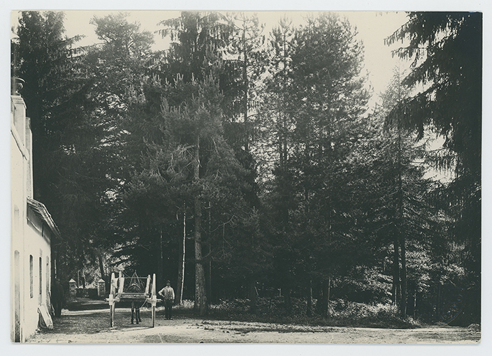 Provincia di Foggia - paesaggio (positivo) di anonimo (XX)