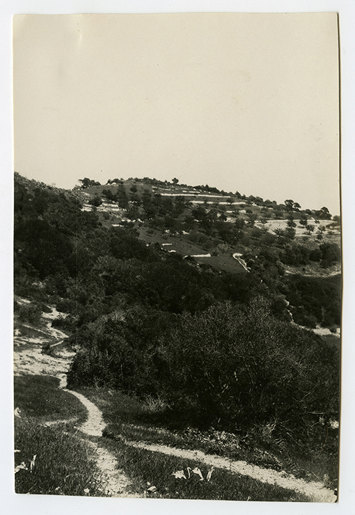 Monte Sant'Angelo - paesaggio (positivo) di anonimo (XX)