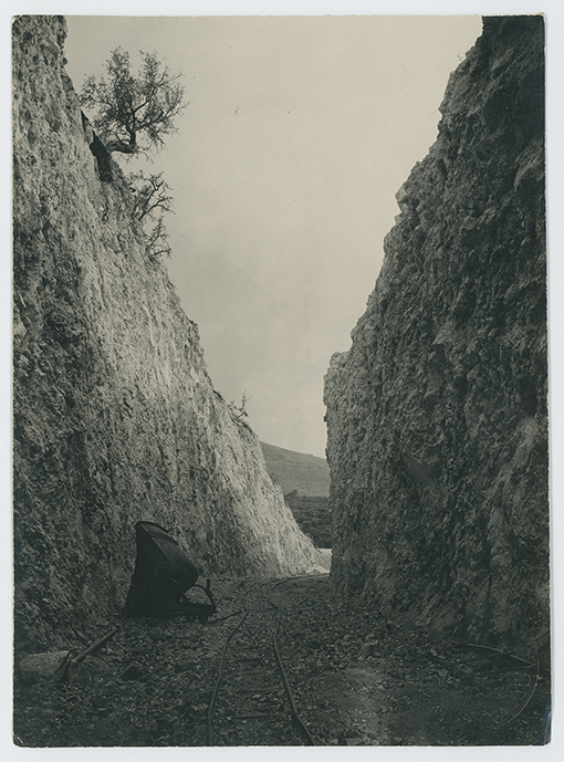 Provincia di Foggia - paesaggio (positivo) di anonimo (XX)