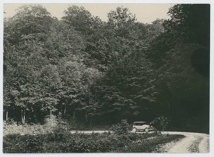 Vico del Gargano - Monte Sant'Angelo - paesaggio (positivo) di Baffi C (XX)
