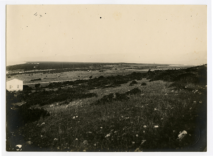 Provincia di Foggia - panorama (positivo) di anonimo (XX)