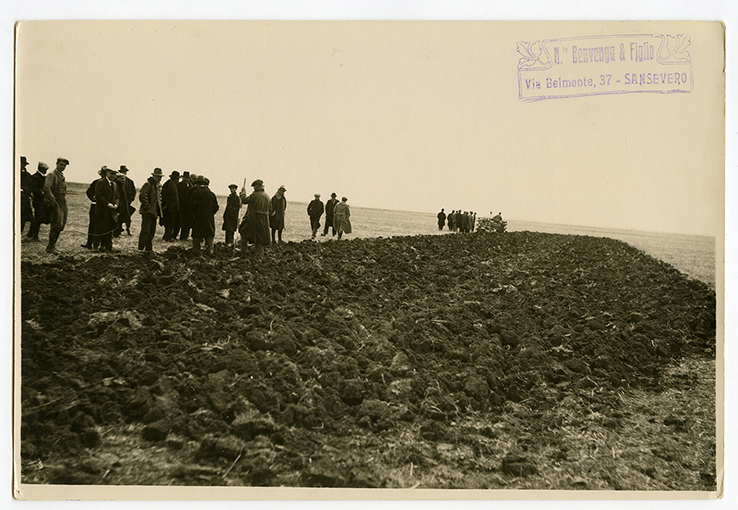 San Severo - paesaggio (positivo) di Benvenga, Nicola (XX)