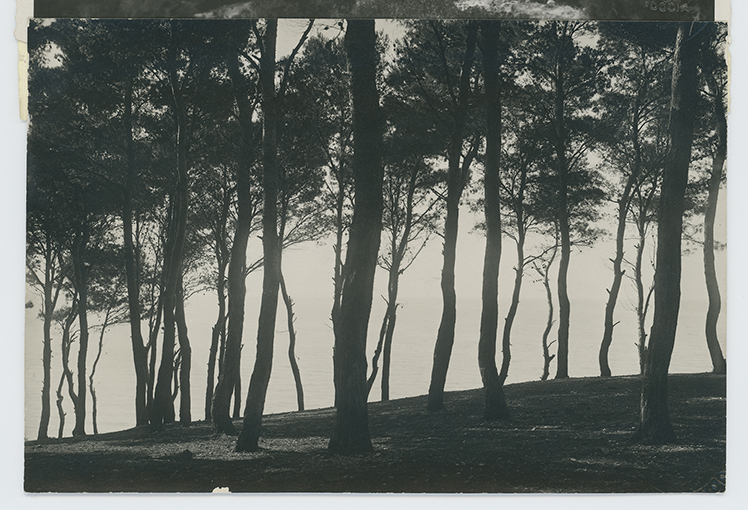 San Menaio - veduta (positivo) di anonimo (XX)