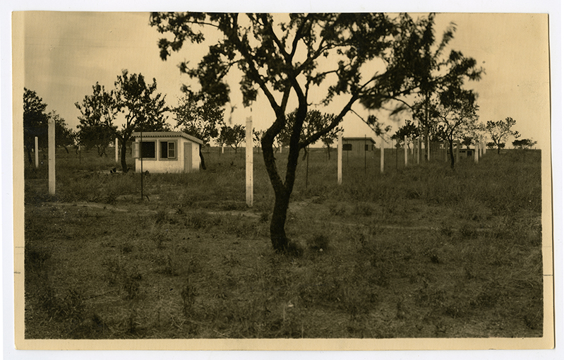 Foggia - paesaggio (positivo) di anonimo (XX)