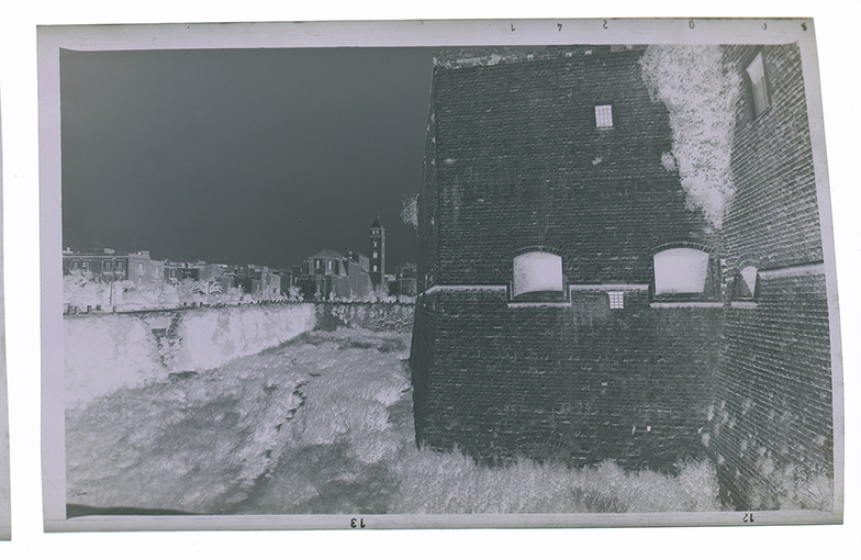 Barletta - veduta del Duomo dal fossato del castello (negativo) di Ficarelli, Michele (XX)