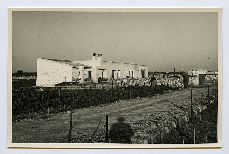 Masseria Vaccarella - casa colonica (positivo) di Anonimo (XX)