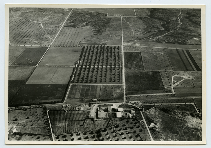 Masseria Vaccarella - veduta aerea dell'azienda agricola (positivo) di Anonimo (XX)