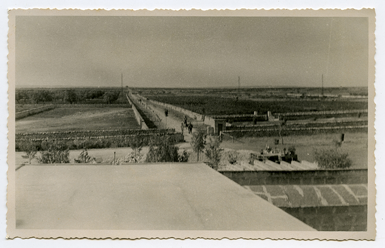 Masseria Vaccarella - panoramica dell'azienda agricola (positivo) di Anonimo (XX)