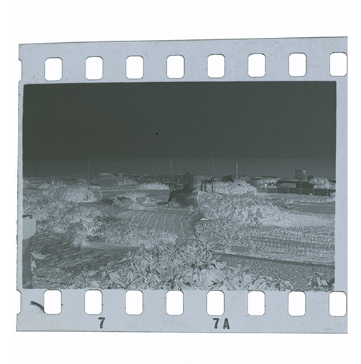 Polignano a Mare - Cozze - Trulli a mare - panorama (negativo) di Anonimo (XX)