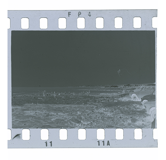 Savelletri di Fasano (?) - Litorale (negativo) di Anonimo (XX)