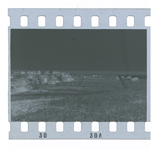 Cozze - Monopoli - Litorale (negativo) di Anonimo (XX)