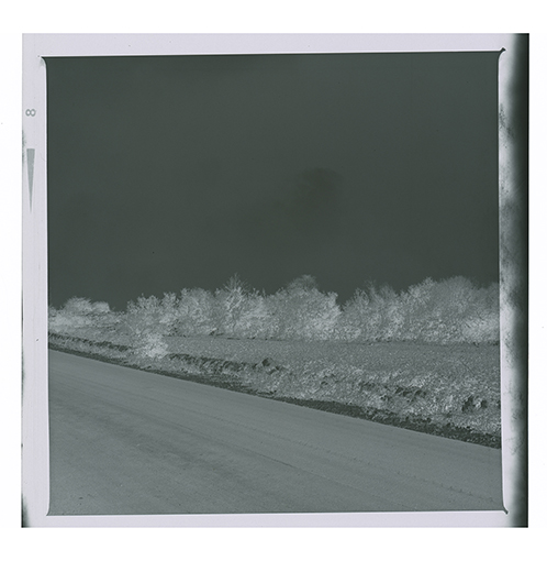 Noci - Barsento - Paesaggio (negativo) di Anonimo (XX)