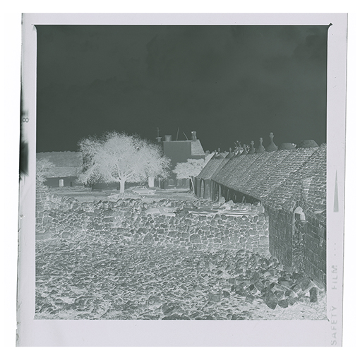 Noci- Abbazia di Santa Maria di Barsento (negativo) di Anonimo (XX)