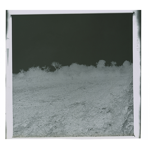 Noci - Barsento - Paesaggio (negativo) di Anonimo (XX)