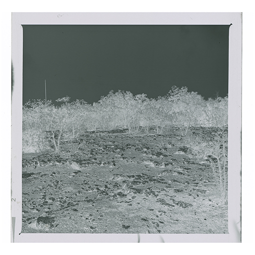 Noci - Barsento - Paesaggio (negativo) di Anonimo (XX)