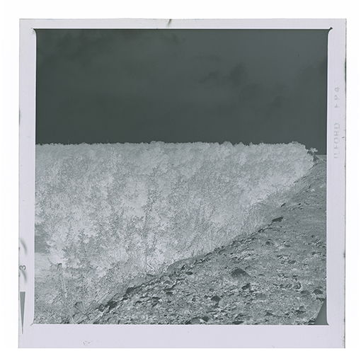 Noci - Barsento - Paesaggio (negativo) di Anonimo (XX)