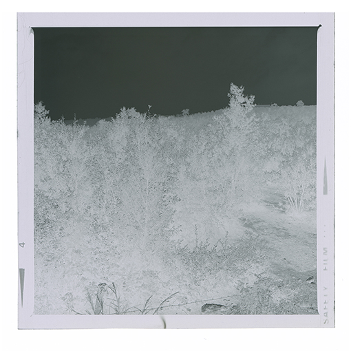 Noci - Barsento - Paesaggio (negativo) di Anonimo (XX)