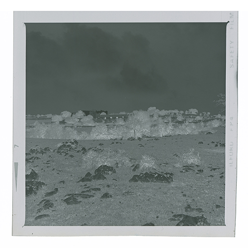 Barsento - Veduta panoramica, in lontananza l' abbazia di Santa Maria di Barsento (negativo) di Anonimo (XX)