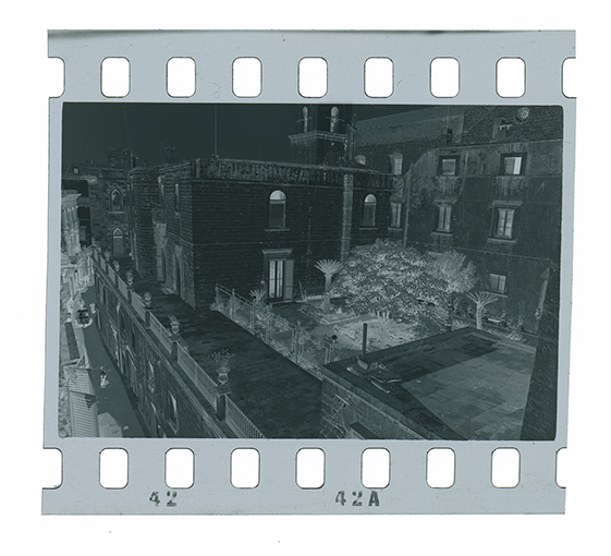 Putignano - Museo Civico - Giardino pensile (negativo) di Anonimo (XX)