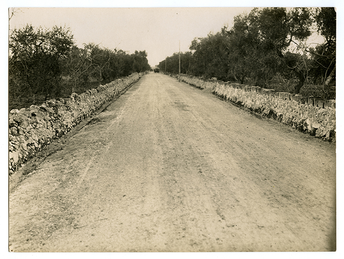 Strada in costruzione (positivo) di Ficarelli, Michele (XX)