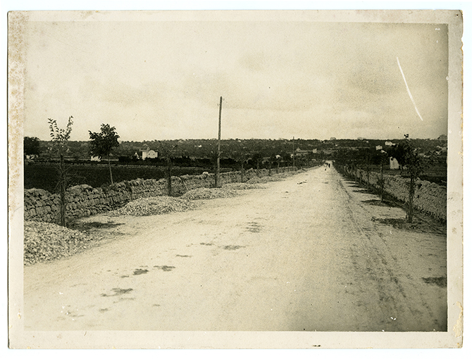 Strada di campagna (positivo) di Anonimo (XX)
