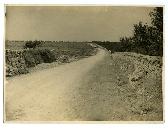 Strada di campagna (positivo) di Ficarelli, Michele (XX)