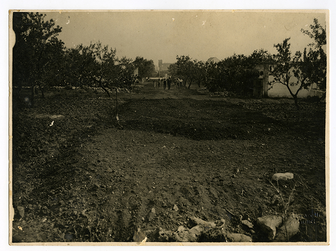 Veduta panoramica (positivo) di Anonimo (XX)