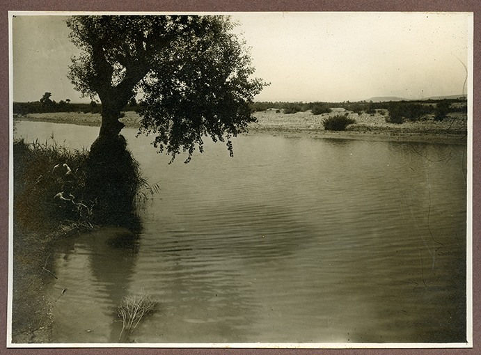 Canosa - Barletta - L'Ofanto (positivo) di Anonimo (XX)