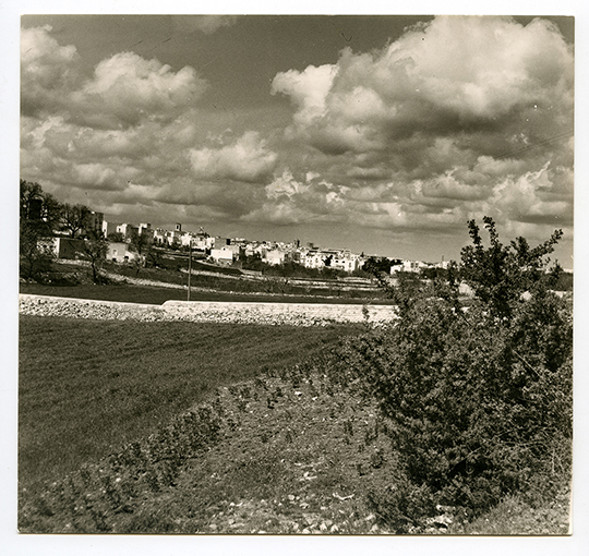 Castellana Grotte - Veduta panoramica (positivo) di Guglielmi, Giovanni (XX)