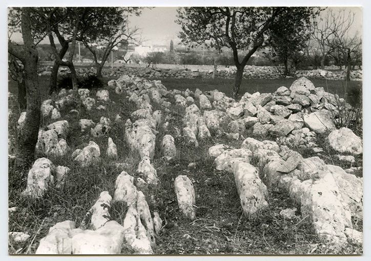 Putignano - Campagna - Pietre affioranti (positivo) di Anonimo (XX)