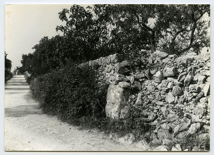 Valle d'Itria - Strada di campagna con muretto a secco (positivo) di Anonimo (XX)